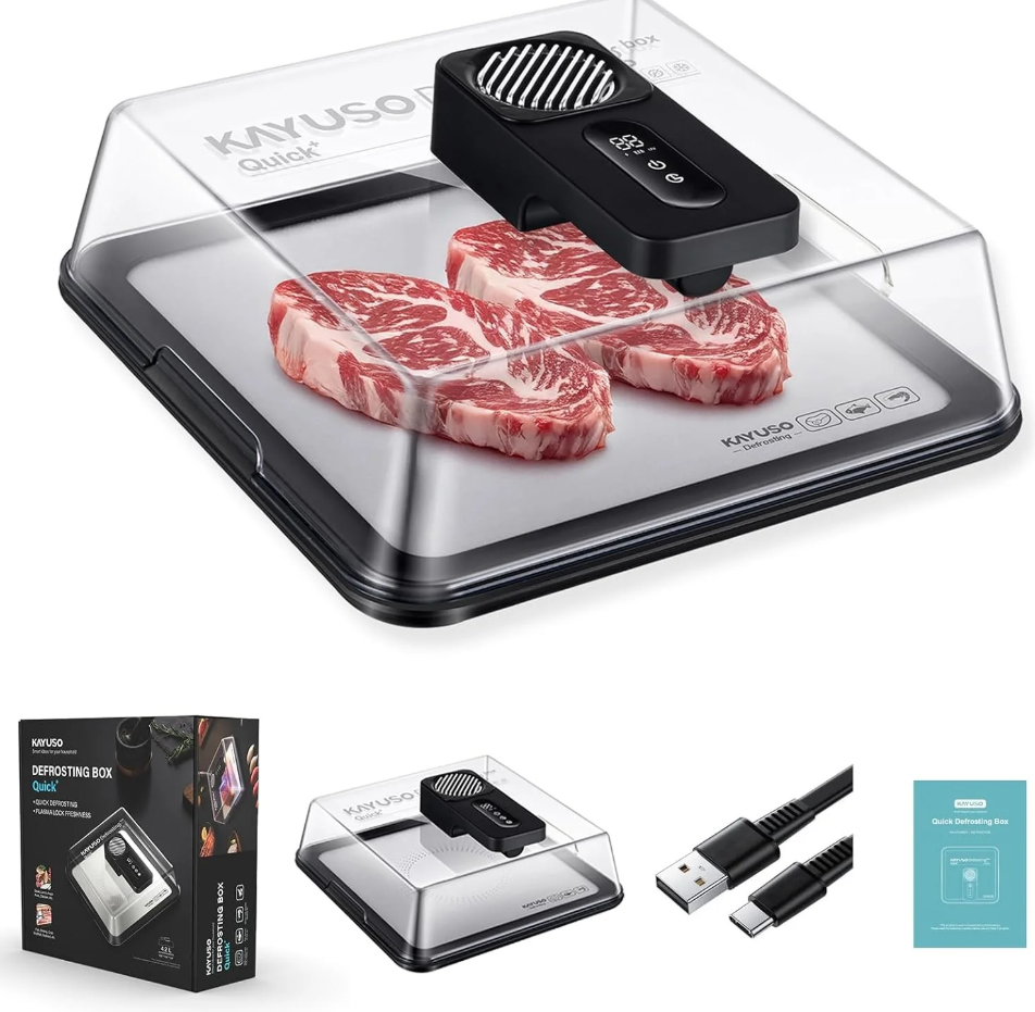 Bandeja de descongelamento rápida para carne, caixa de descongelamento de carne recarregável via USB com tampa