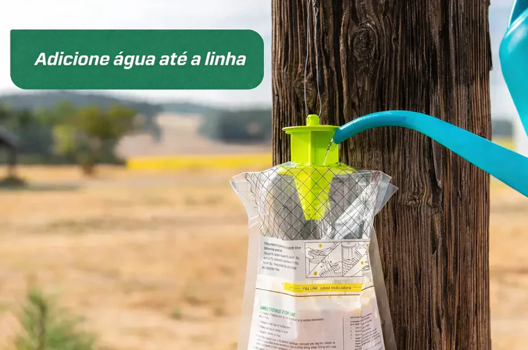 Armadilha para moscas Fly Trap (A MAIS EFICAZ)