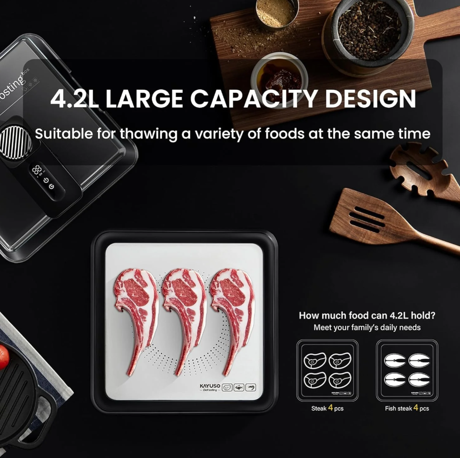 Bandeja de descongelamento rápida para carne, caixa de descongelamento de carne recarregável via USB com tampa